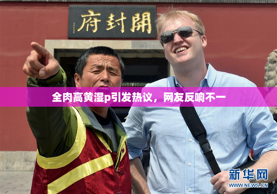 全肉高黄湿p引发热议，网友反响不一