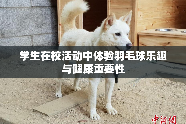 学生在校活动中体验羽毛球乐趣与健康重要性