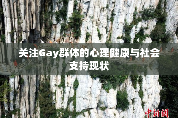 关注Gay群体的心理健康与社会支持现状