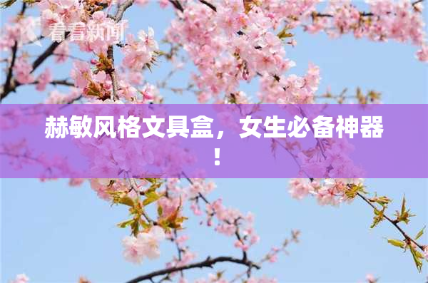 赫敏风格文具盒，女生必备神器！