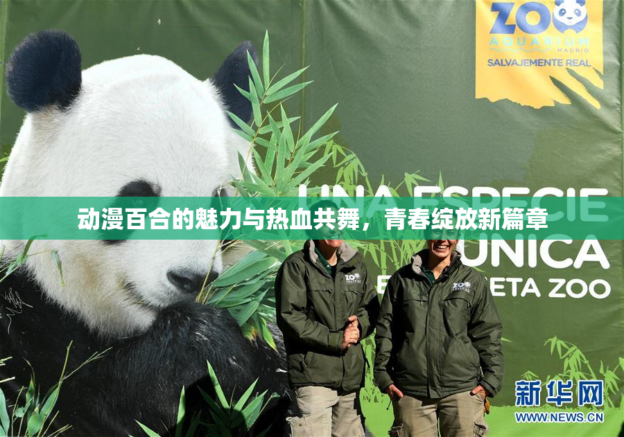 动漫百合的魅力与热血共舞，青春绽放新篇章
