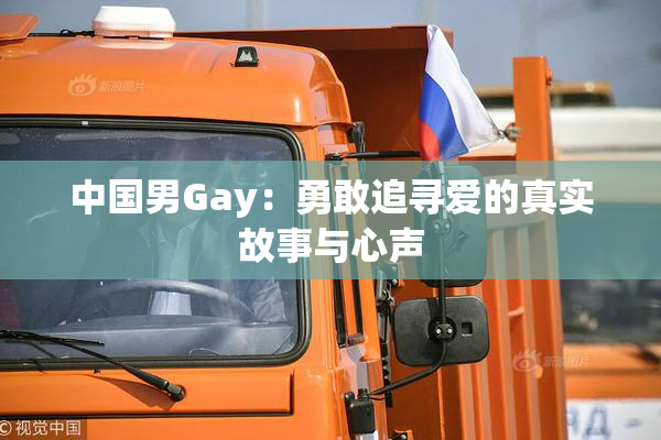 中国男Gay：勇敢追寻爱的真实故事与心声
