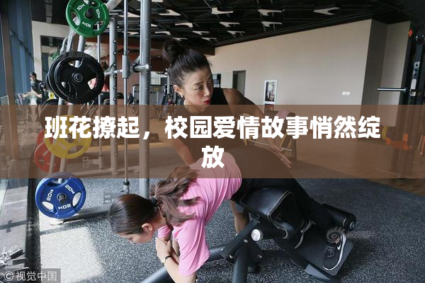 班花撩起，校园爱情故事悄然绽放