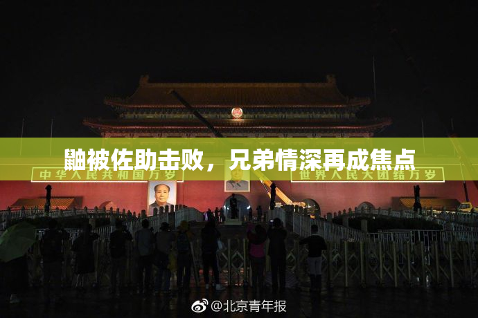 鼬被佐助击败，兄弟情深再成焦点