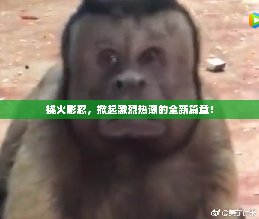 挠火影忍，掀起激烈热潮的全新篇章！