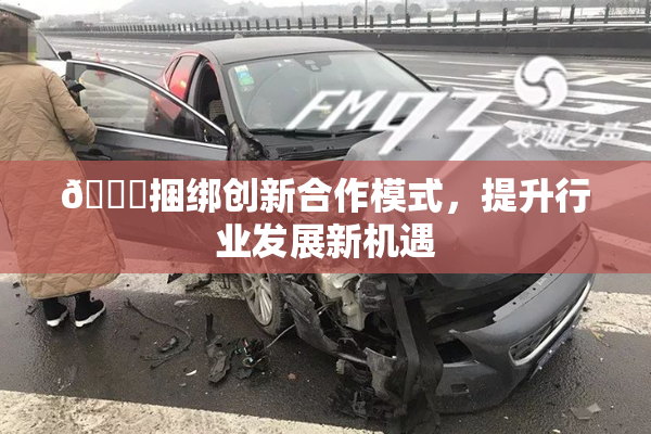 🔞捆绑创新合作模式，提升行业发展新机遇