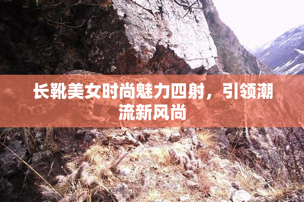 长靴美女时尚魅力四射，引领潮流新风尚