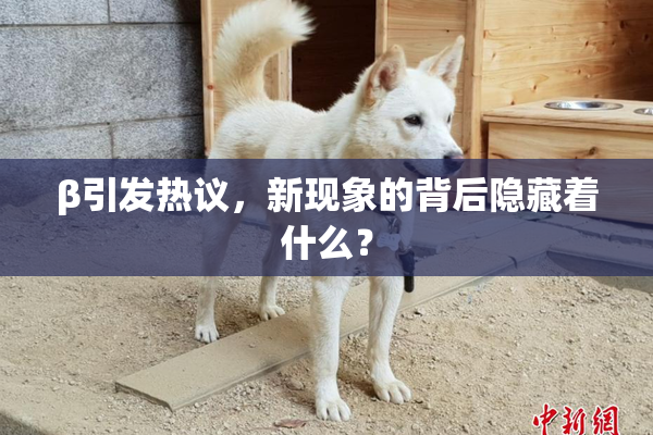 β引发热议，新现象的背后隐藏着什么？