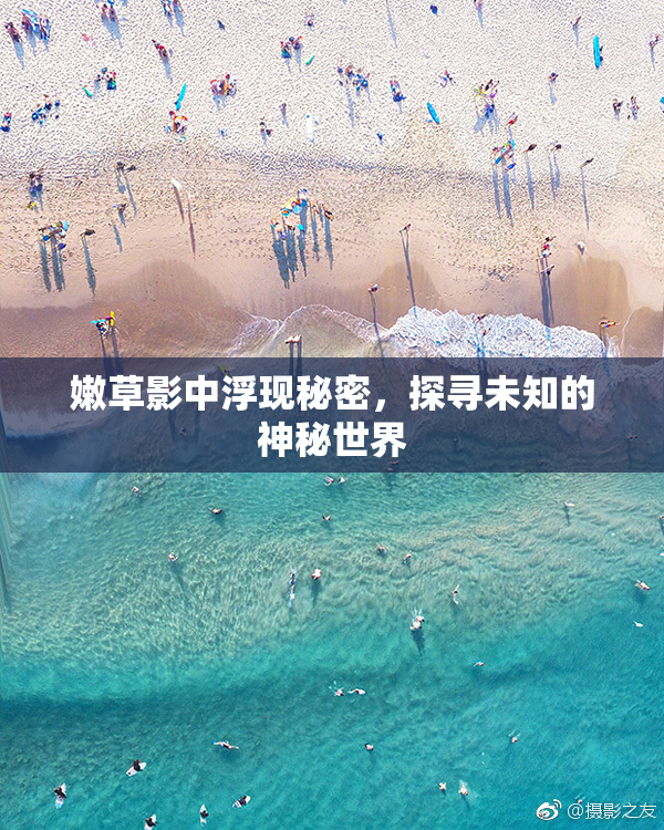 嫩草影中浮现秘密，探寻未知的神秘世界