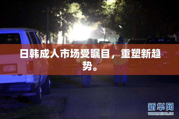 日韩成人市场受瞩目，重塑新趋势。