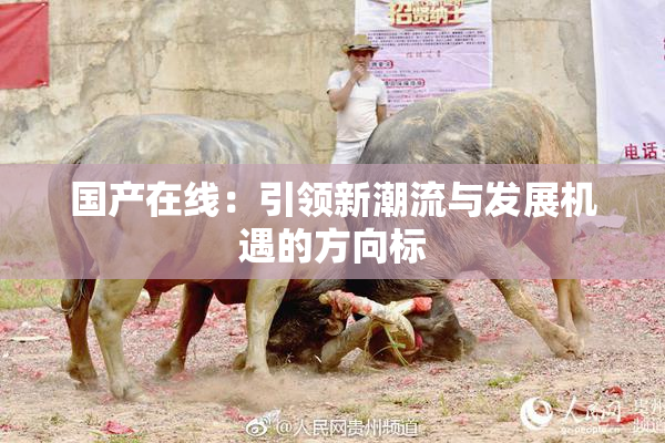国产在线：引领新潮流与发展机遇的方向标