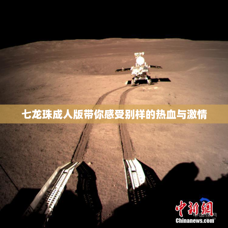 七龙珠成人版带你感受别样的热血与激情