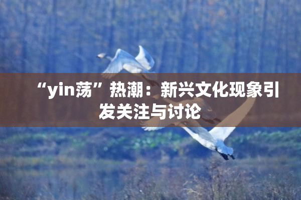 “yin荡”热潮：新兴文化现象引发关注与讨论