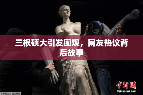 三根硕大引发围观，网友热议背后故事