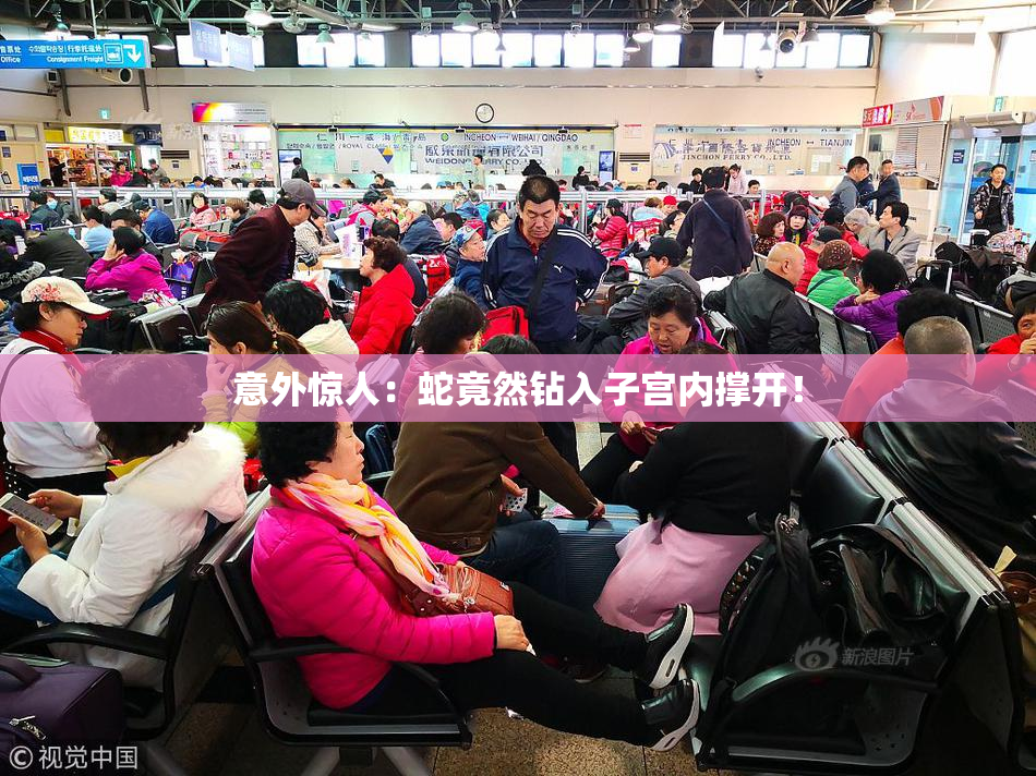 意外惊人：蛇竟然钻入子宫内撑开！
