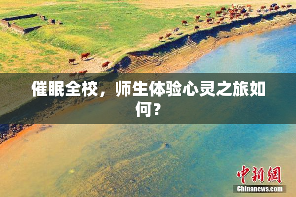 催眠全校，师生体验心灵之旅如何？