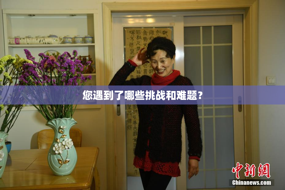 您遇到了哪些挑战和难题？