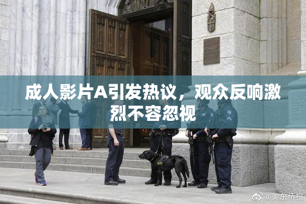 成人影片A引发热议，观众反响激烈不容忽视