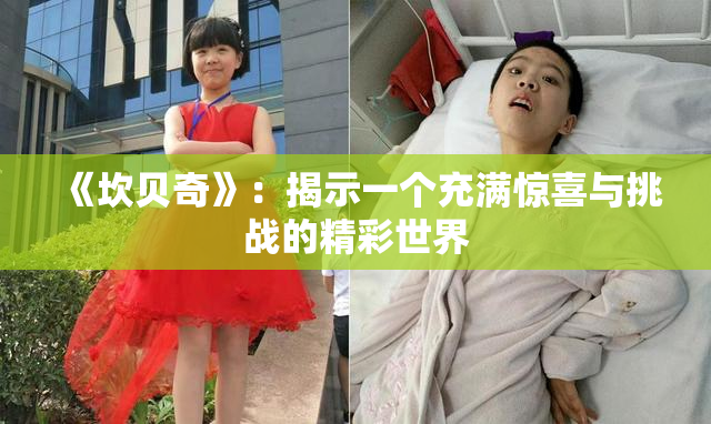 《坎贝奇》：揭示一个充满惊喜与挑战的精彩世界