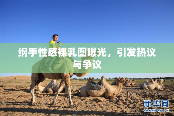 纲手性感裸乳图曝光，引发热议与争议