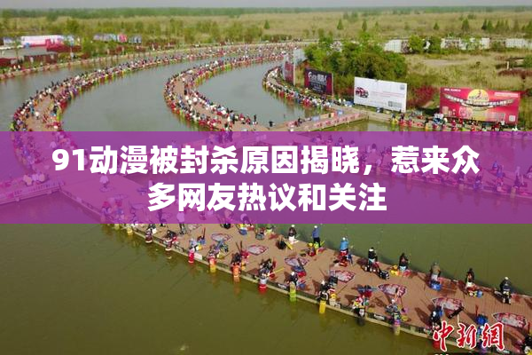 91动漫被封杀原因揭晓，惹来众多网友热议和关注