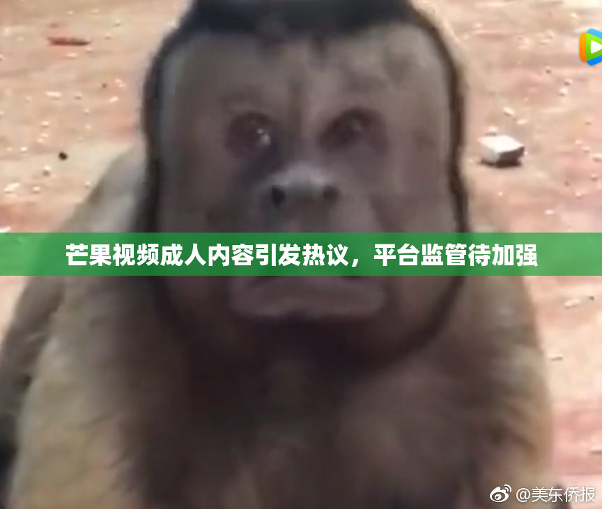 芒果视频成人内容引发热议，平台监管待加强