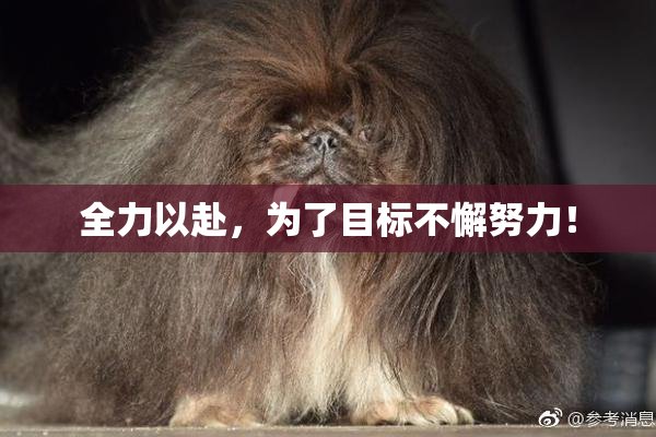 全力以赴，为了目标不懈努力！