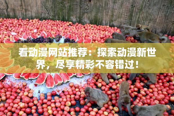 看动漫网站推荐：探索动漫新世界，尽享精彩不容错过！