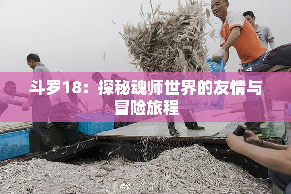 斗罗18：探秘魂师世界的友情与冒险旅程