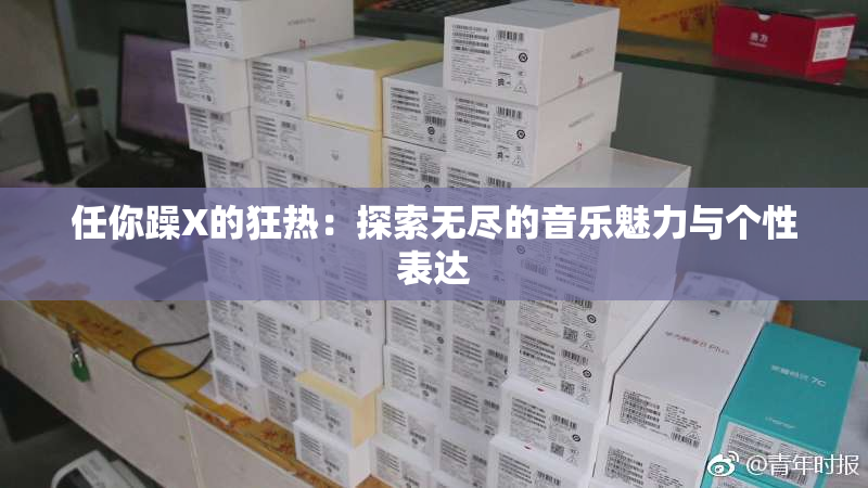 任你躁X的狂热：探索无尽的音乐魅力与个性表达