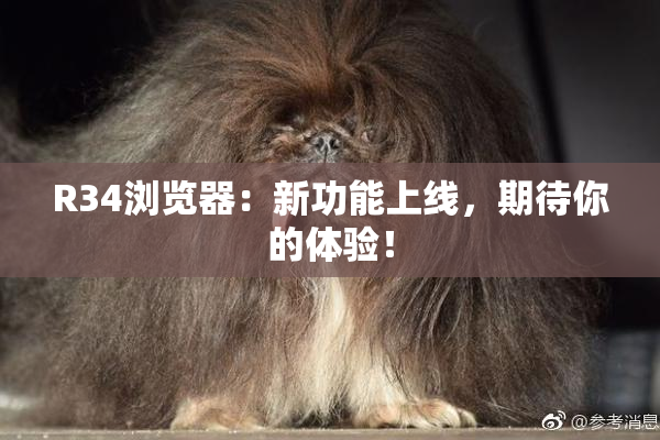 R34浏览器：新功能上线，期待你的体验！