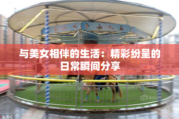 与美女相伴的生活：精彩纷呈的日常瞬间分享