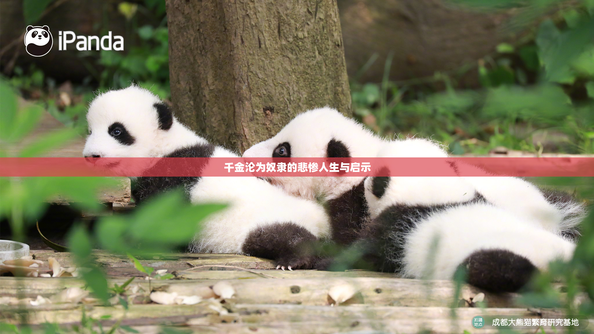 千金沦为奴隶的悲惨人生与启示