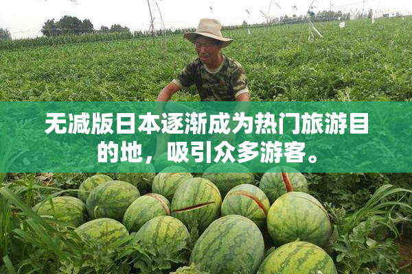 无减版日本逐渐成为热门旅游目的地，吸引众多游客。