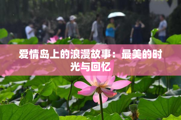 爱情岛上的浪漫故事：最美的时光与回忆