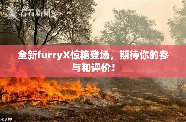 全新furryX惊艳登场，期待你的参与和评价！