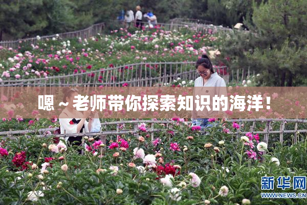 嗯～老师带你探索知识的海洋！