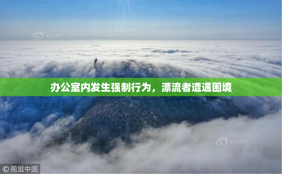 办公室内发生强制行为，漂流者遭遇困境