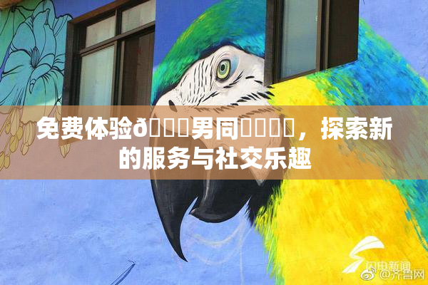 免费体验🔞男同❌‌❌‌，探索新的服务与社交乐趣