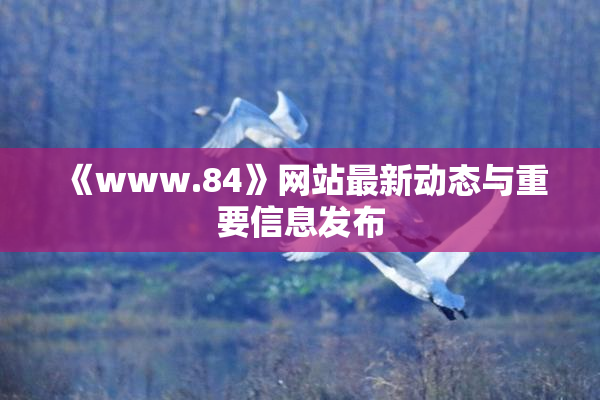 《www.84》网站最新动态与重要信息发布