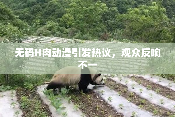 无码H肉动漫引发热议，观众反响不一