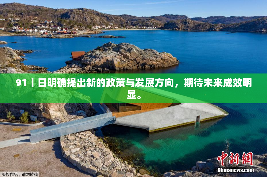 91丨日明确提出新的政策与发展方向，期待未来成效明显。
