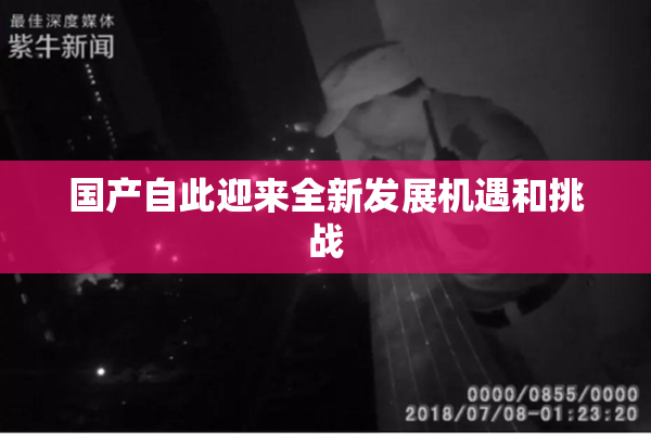 国产自此迎来全新发展机遇和挑战