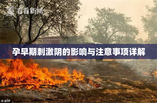 孕早期刺激阴的影响与注意事项详解