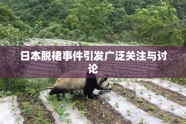 日本脱裙事件引发广泛关注与讨论