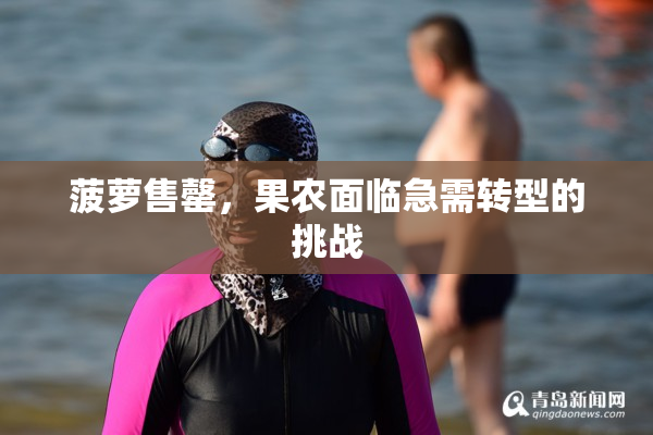 菠萝售罄，果农面临急需转型的挑战