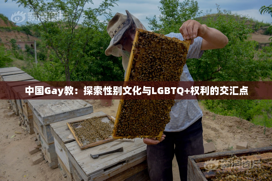 中国Gay教：探索性别文化与LGBTQ+权利的交汇点