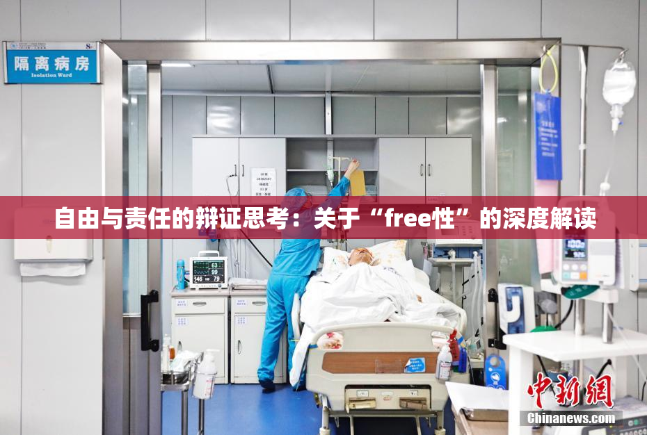 自由与责任的辩证思考：关于“free性”的深度解读