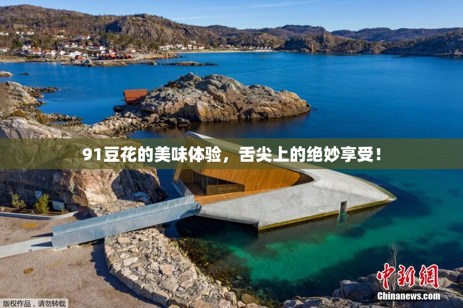 91豆花的美味体验，舌尖上的绝妙享受！