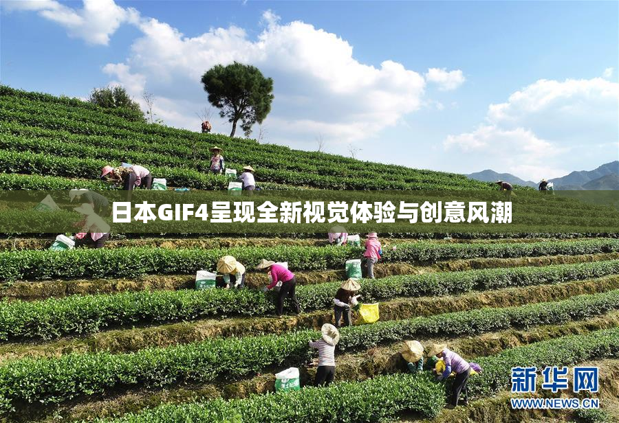 日本GIF4呈现全新视觉体验与创意风潮